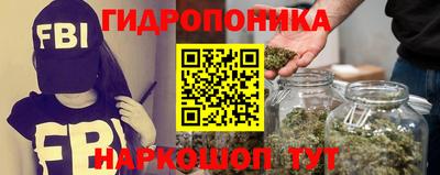 сатива Гусиноозёрск