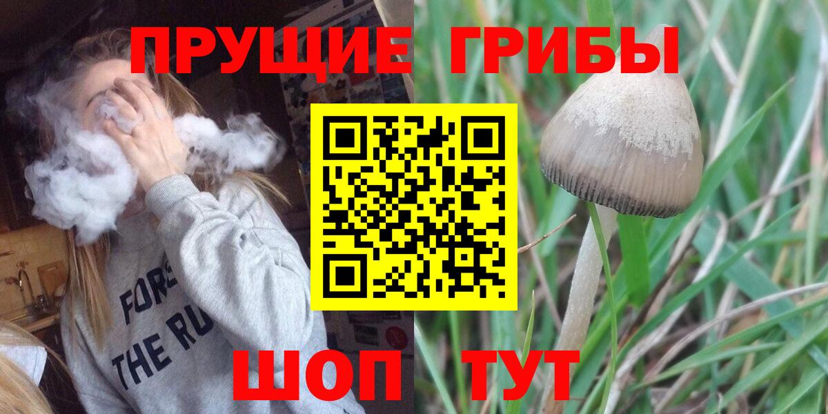 Псилоцибиновые грибы ЛСД Москва