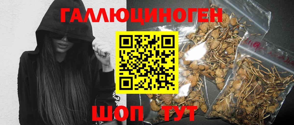Галлюциногенные грибы мухоморы  Псилоцибиновые грибы Magic Shrooms  закладки  Москва  Вход с VPN 